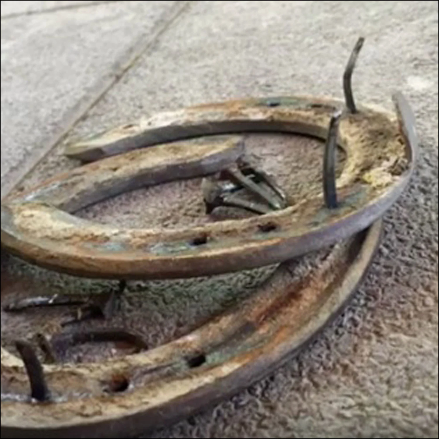 Old horseshoe