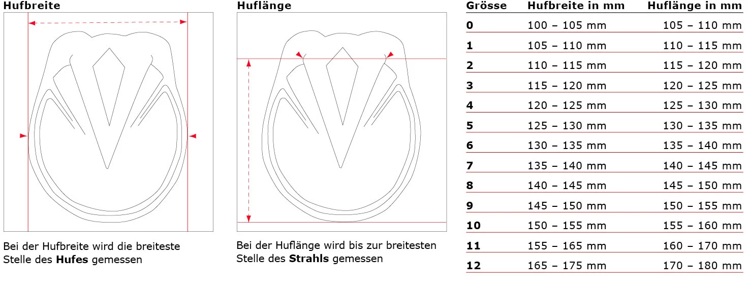 Easyboot New Trail – der Allrounder! - auto