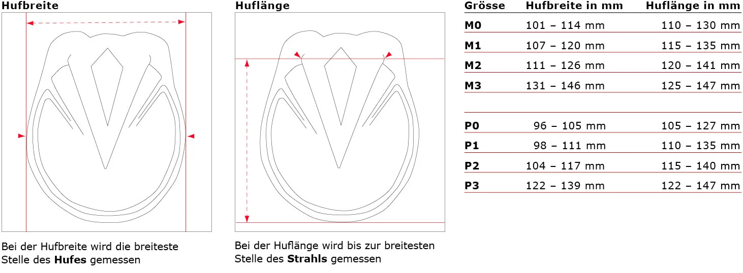 Folating Boot Endurance – der flexible Sportler. - auto