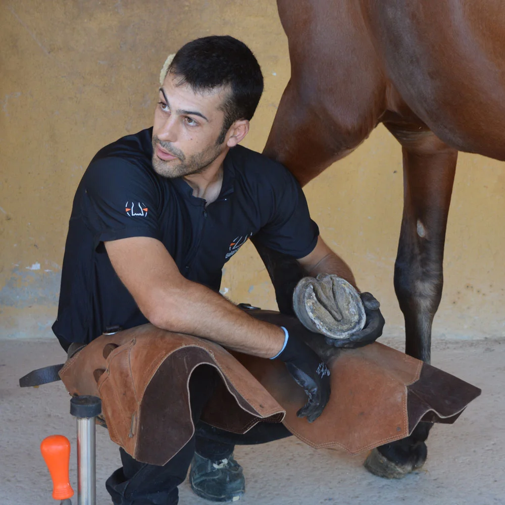 Experts — HOOFBOOTS.ES - auto