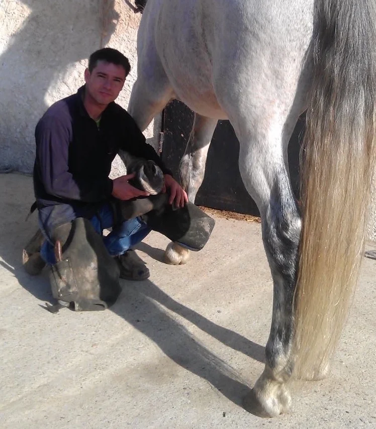 hoofboots.es botas para caballos/Experten — HOOFBOOTS.ES - auto