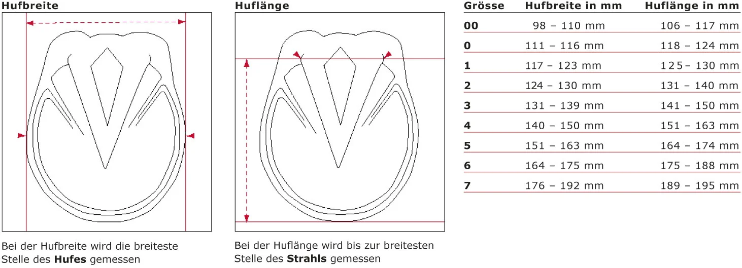 Easyboot RX – der Therapiehufschuh für die Dauer. - auto