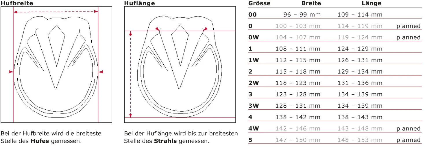 Evo Boot 1.0 Schale - auto