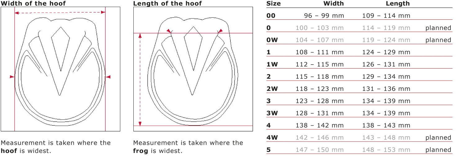 Evo Boot 1.0 Shell — HOOFBOOTS.ES - auto