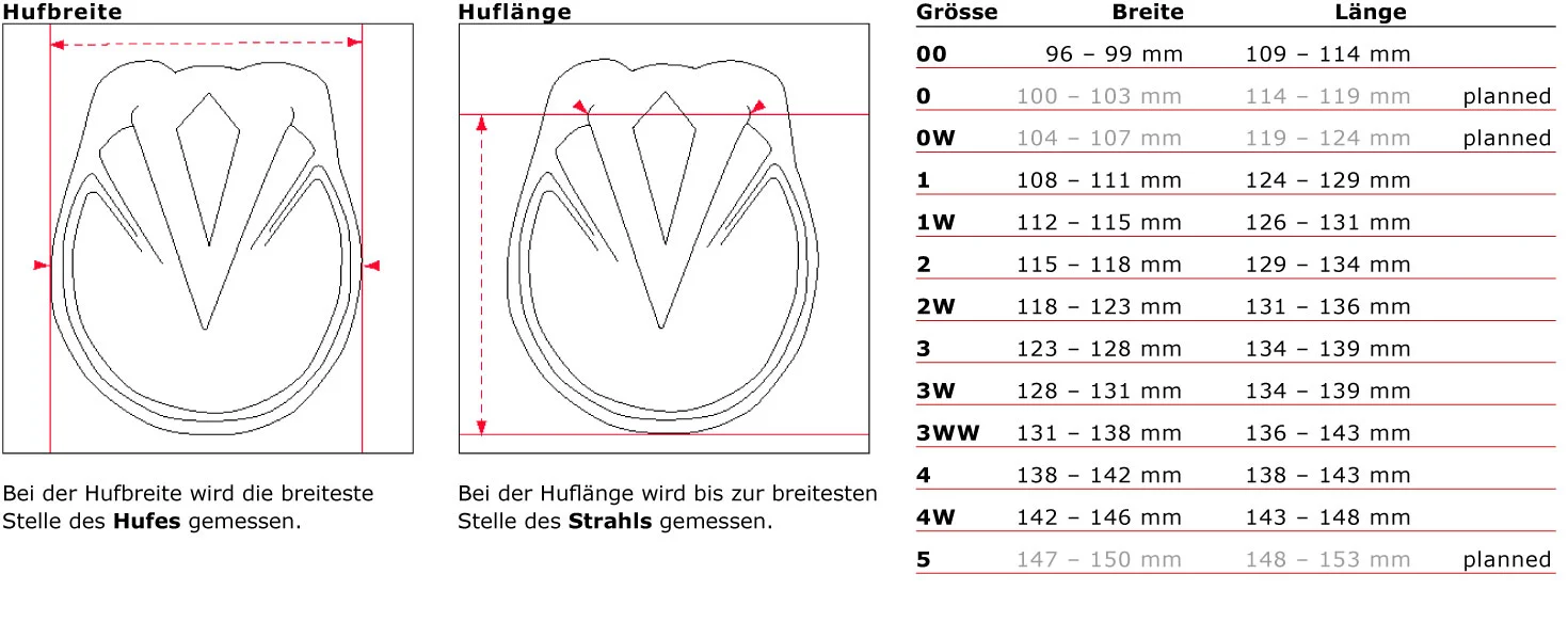 Der Evo Boot – das flexible Leichtgewicht! - auto