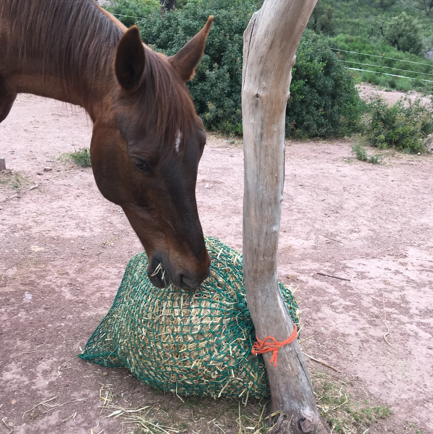 Red tipo saco — HOOFBOOTS.ES - auto