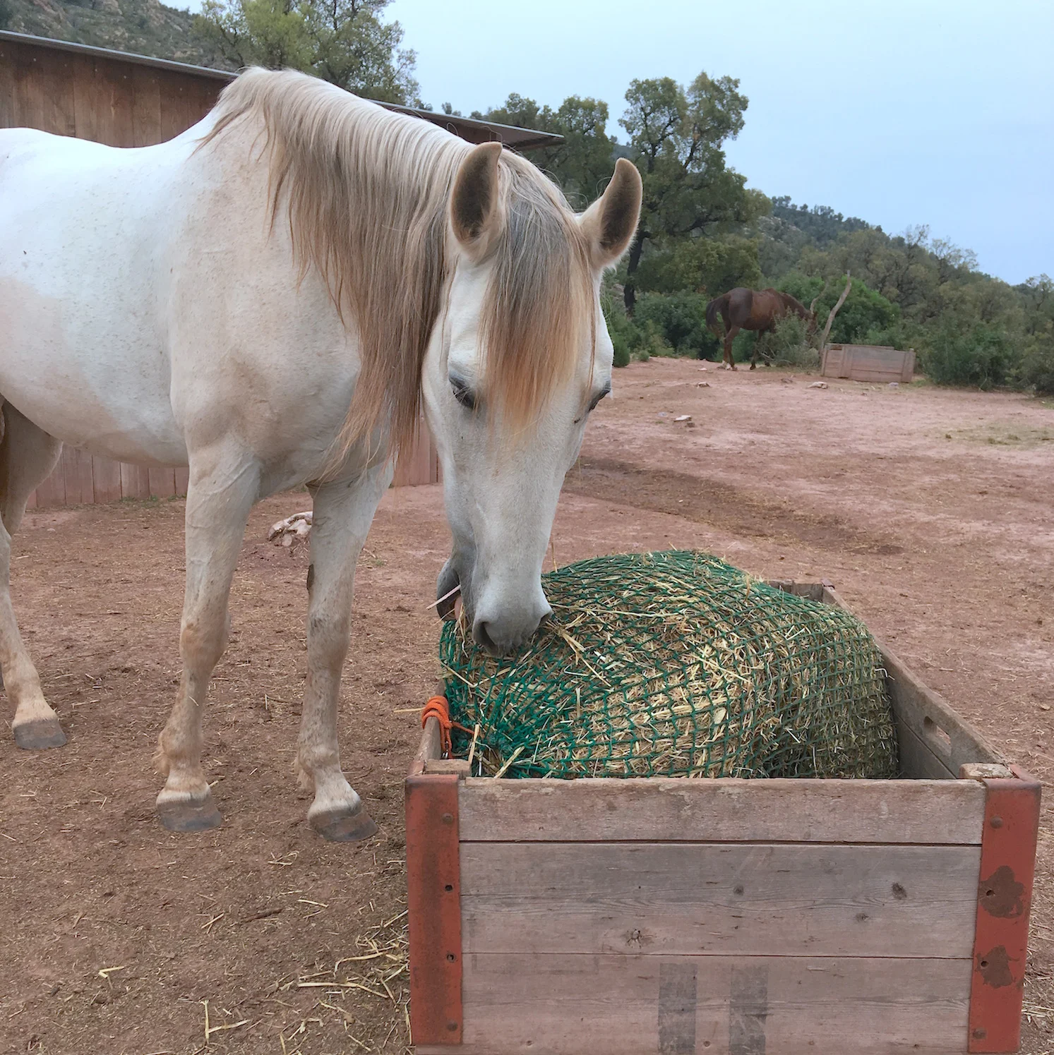 Red tipo saco — HOOFBOOTS.ES - auto