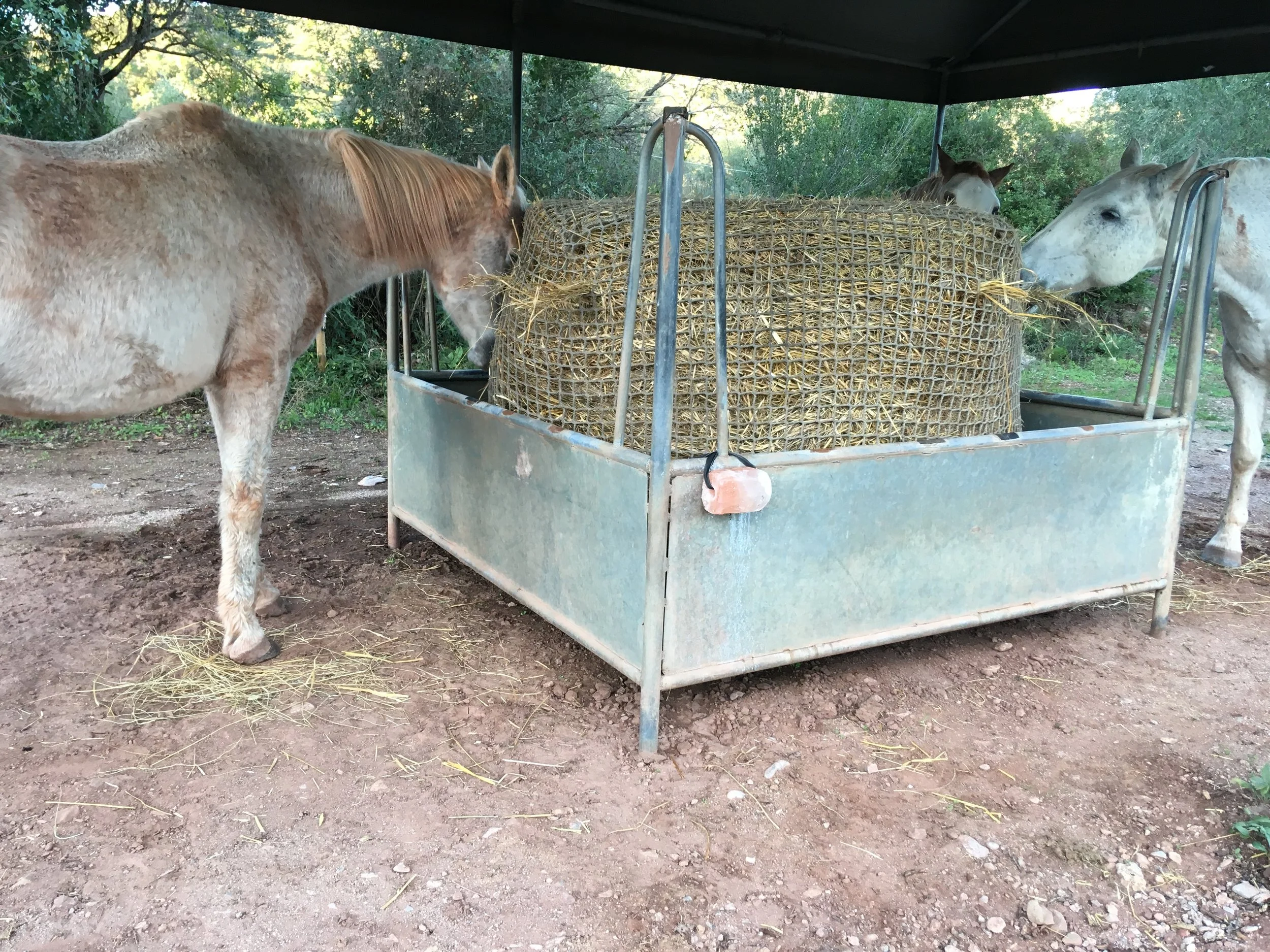 Hay net for round bales extra strong — HOOFBOOTS.ES - auto
